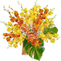 Flowers to India