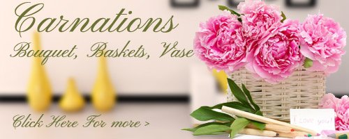 Carnations Flowers to Gandhinagar