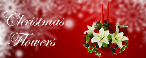 Christmas Flowers to Ahmednagar