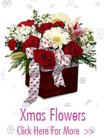 Christmas Flowers to India