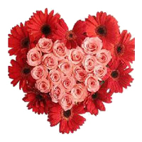 Deliver 24 Pink Roses Diwali Flowers to Mumbai and 10 Red Gerbera Heart