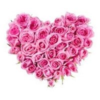 This New Born, Order for Pink Roses Heart 24 Flowers Delivery to India Same Day