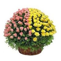 Order Online 100 Pink and Yellow Roses Basket India, Send Rakhi to India Online