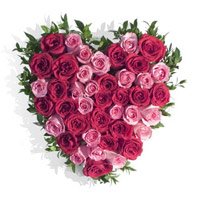 Get Wedding Flowers Delivery in India. Pink Red Roses Heart 50 Flowers to India Online