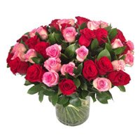 Flowers to India. Red Pink Roses in Vase 50 Flowers to India Online