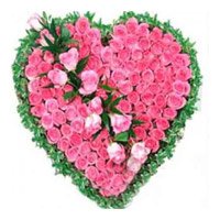 Send Pink Roses Heart 75 Flowers Online India. Anniversary Flowers to India