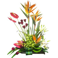 Same Day Flowers Delivery in India
