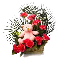 Order Diwali Gifts in India. Red Carnation Small Teddy Basket of 12 Flowers in India Online