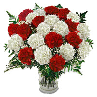 Diwali Flowers to India contain of Red White Carnation in Vase 24 Flowers
