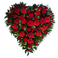 Place Order Rakhi Gifts to India. 50 Red Roses to India Carnation Heart Arrangement