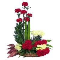 Send Red Yellow Carnation Arrangement 24 Flowers with Rakhi in India