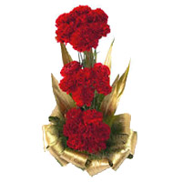 Send 30 Red Carnation Basket of Best Rakhi Flowers to India