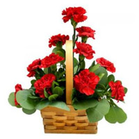 Send Red Carnation Basket 12 Flowers to India on Diwali