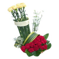 Place Order for Red Yellow Carnation Basket of 20 Flowers in India on Rakhi