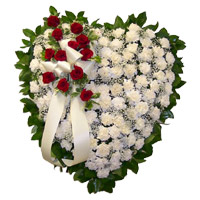 Send Rakhi and 100 White Carnation Flowers Heart with 12 Red Rose Flowers in India