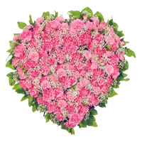 Order Pink Carnation Heart 50 Best Flowers to India on Rakhi