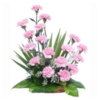 Online Diwali Flowers Delivery in India. Pink Carnation Basket 18 Flowers in India