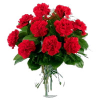 Deliver Rakhi with Red Carnation Vase 12 Flowers to India
