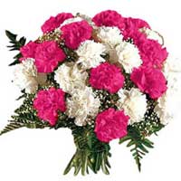 Send Diwali Flowers to India. Pink White Carnation Bouquet 12 Flowers to India