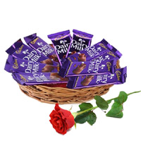 Online 12 Dairy Milk Chocolate Basket With 1 Red Rose Bud. Gifts in India