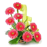 Deliver Rakhi with Online Pink Gerbera Basket of 12 Flowers in India