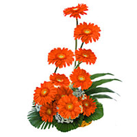 Send Rakhi with Flowers. Orange Gerbera Basket of 12 Flowers to India