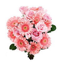 Buy Diwali Flowers in India. 18 Pink Gerbera Roses Bouquet Flowers to India