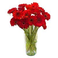 New Born Flowers to India : Red Gerbera in Vase
