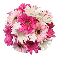 Send Diwali White Pink Gerbera Bouquet 36 Flowers in India