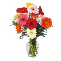 Get Diwali Flowers to India. Mixed Gerbera Vase 12 Flowers