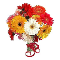 Send Mixed Gerbera Bouquet 12 Flowers to India on Diwali