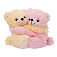 Same Day Gifts Delivery India : Teddy Day Gifts in India