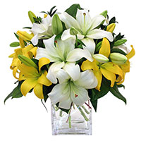 Send Rakhi to India with White Yellow Lily Vase 8 Flower Stems