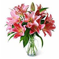 Online New Born Flower Delivery India