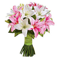 New Born Flower Delivery in India :  Pink White Lily 