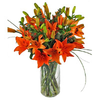 Send Rakhi with Orange Lily Vase 8 Stems Flowers in India