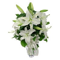 Online Flower Delivery in India :  White Lily 