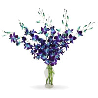 Place Order for Blue Orchid Vase 6 Stem Flowers in India Online on Rakhi