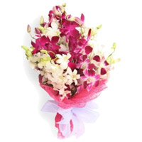 Orchids Flower Delivery in India