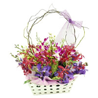 Send Rakhi with Flowers in India. Mixed Orchid with Stem in Basket of 12 Flowers to India