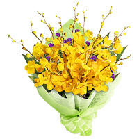 Diwali Flower Delivery in India. Bunch of Yellow Orchid 6 Flowers to India