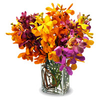 Best Rakhi Flowers Delivery in India made of Mixed Orchid Vase 10 Flowers Stem