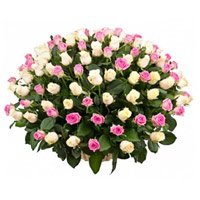 Online New Born Flowers in India. Deliver White Pink Roses Basket 100 Flowers to India