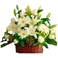 Rakhi Flower Delivery. White Lily Roses Gerbera Basket 20 Flowers in India