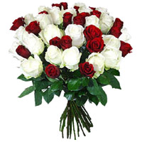 Online White Roses in India
