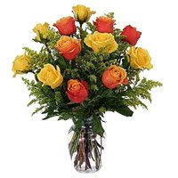 Send Holi Roses to India Online