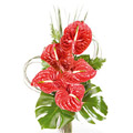 Anthurium Flower Bouquet to India