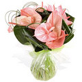 Anthurium in Vase : Flowers to India
