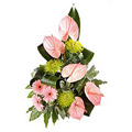 Bouquet of Anthurium and Gerbera Flowers to India