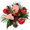 Mixed Anthurium in Vase 15 Flowers to India